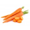 20g - 14000 Frö Danvers Morot ekofrö | 18,50 €