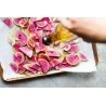 Rädisa vattenmelon frön | 1,95 €