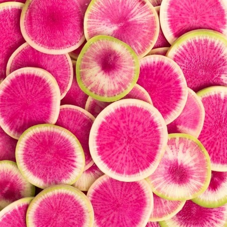 Rädisa vattenmelon frön | 1,95 €
