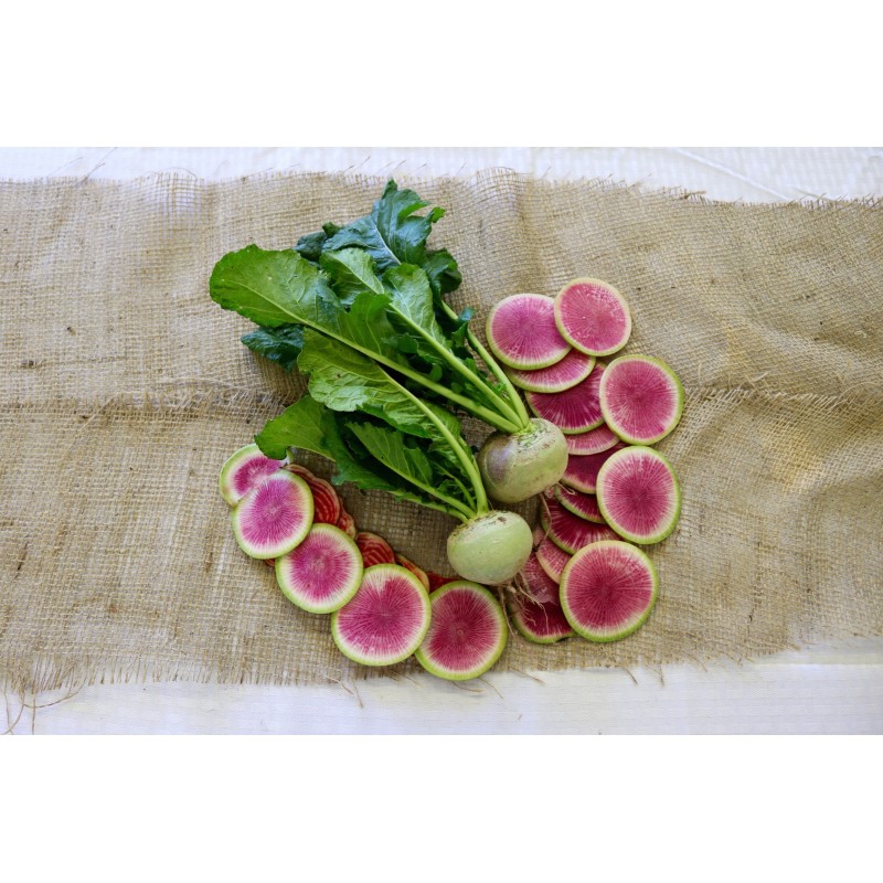Rädisa vattenmelon frön | 1,95 €
