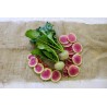 Rädisa vattenmelon frön | 1,95 €