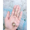 Schizobasis intricata frön | 4,85 €