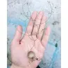 Schizobasis intricata Seme