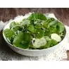Semillas de LECHUGA DEL MINERO (Claytonia perfoliata)