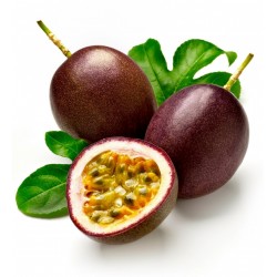 Passiflora Edulis Passion Flower-Passion Fruit Seeds