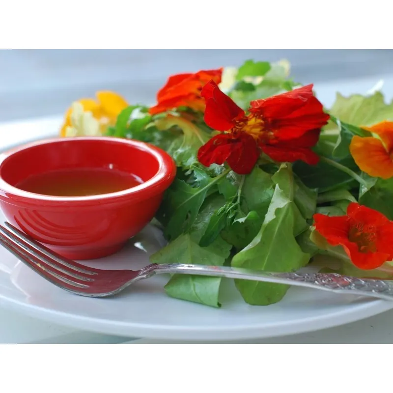 Graines de Grande Capucine - comestible (Tropaeolum majus)