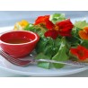 Große Kapuzinerkresse Samen Essbar (Tropaeolum majus)