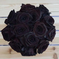 Sementes de Rosa Negra Raro 2.5 - 3