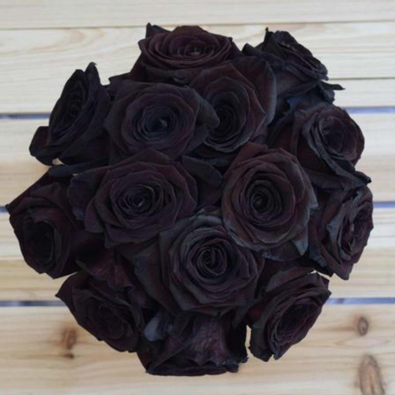 Price: €2.5 - Black Rose Seeds Rare - 