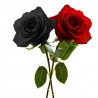 Price: €2.5 - Black Rose Seeds Rare - 