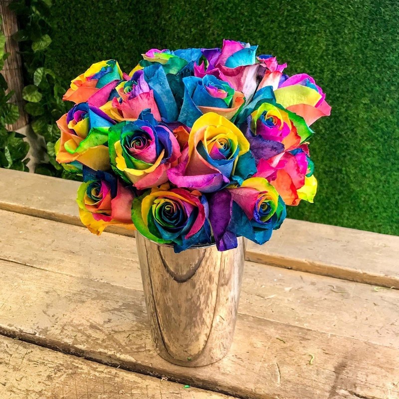 Price: €2.5 - Frön Regnbåge-Rainbow Rose - 