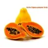 Papaya, Papaw, or Pawpaw Seeds (Carica papaya)
