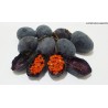 Price: €1.7 - Blue Sweet Calabash Seeds (Passiflora morifolia) - 
