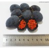 Price: €1.7 - Blue Sweet Calabash Seeds (Passiflora morifolia) - 
