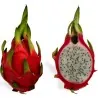 Σπόροι pitaya εξωτικό φρούτο του δράκου (Hylocereus undatus)