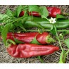Price: €1.85 - Sementes de pimenta Big Jim Numex - 