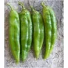Numex Big Jim Seeds