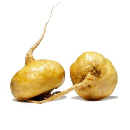 Semillas de Maca (Lepidium meyenii) - 258.037065