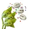 Semillas de Magic Message Beans