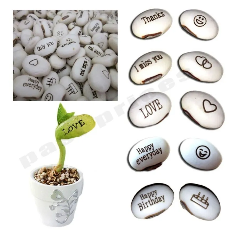 Semillas de Magic Message Beans