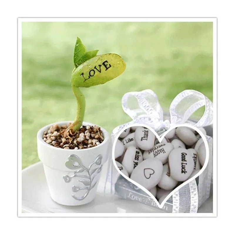 Semillas de Magic Message Beans
