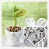 Semillas de Magic Message Beans