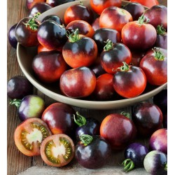 Sementes de Tomate INDIGO ROSE Raro 2.5 - 5