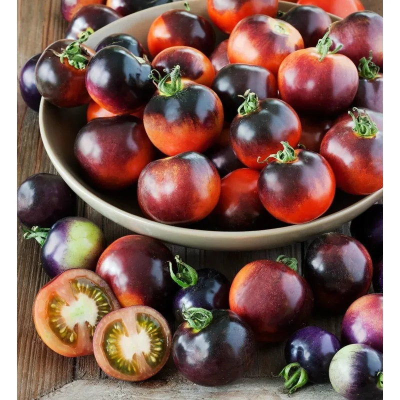 INDIGO ROSE Tomatfrön