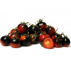 Price: €2.5 - Σπόροι Μπλε Ντομάτα Indigo Rose - Seeds Gallery