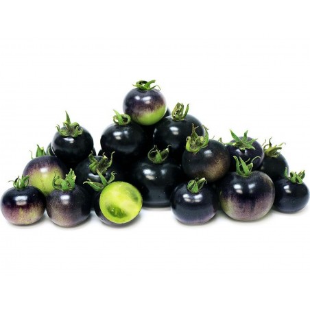 Price: €2.5 - Sementes De Tomate Azul "Bosque Blue" - Seeds Gallery