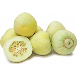 Price: €2.35 - Ιάπωνες Σπόροι Πεπονιού SAKATA'S SWEET - 