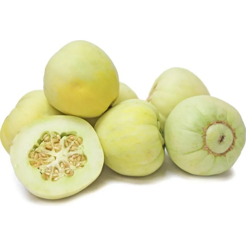 Semillas de Melón Japonés "Sakata's Sweet"