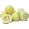 Semillas de Melón Japonés "Sakata's Sweet"