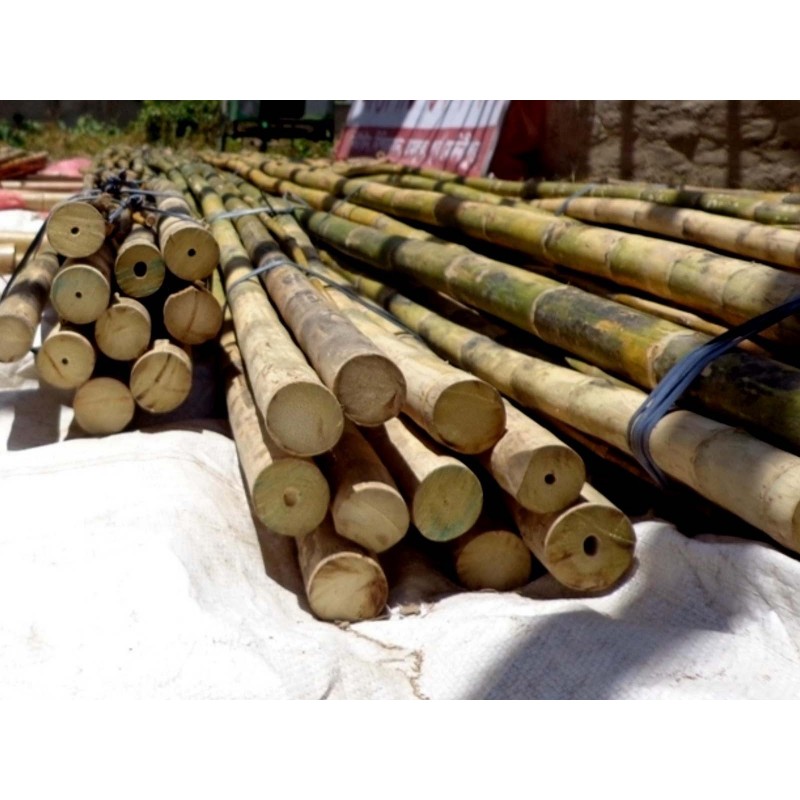 Semillas de bambú de hierro | 1,50 €