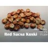 Peruanische Riesen rote Sacsa Kuski Mais Samen