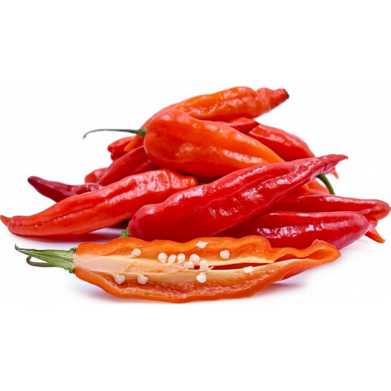 Aji Chicotillo Rojo Chili Samen (Capsicum pendulum) 2.15 - 5