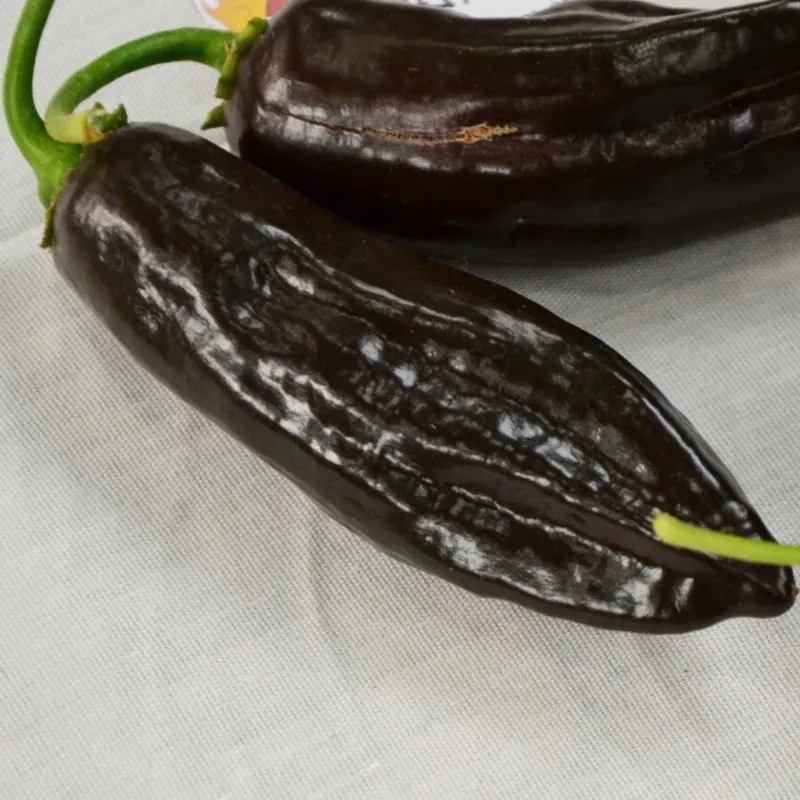 Ají Panca Peruvian Chili Frön