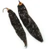 Ají Panca Peruvian Black Chili Seeds