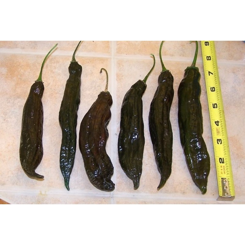 Price: €1.95 - Aji Panca Peruanski Cili Seme - Seeds Gallery