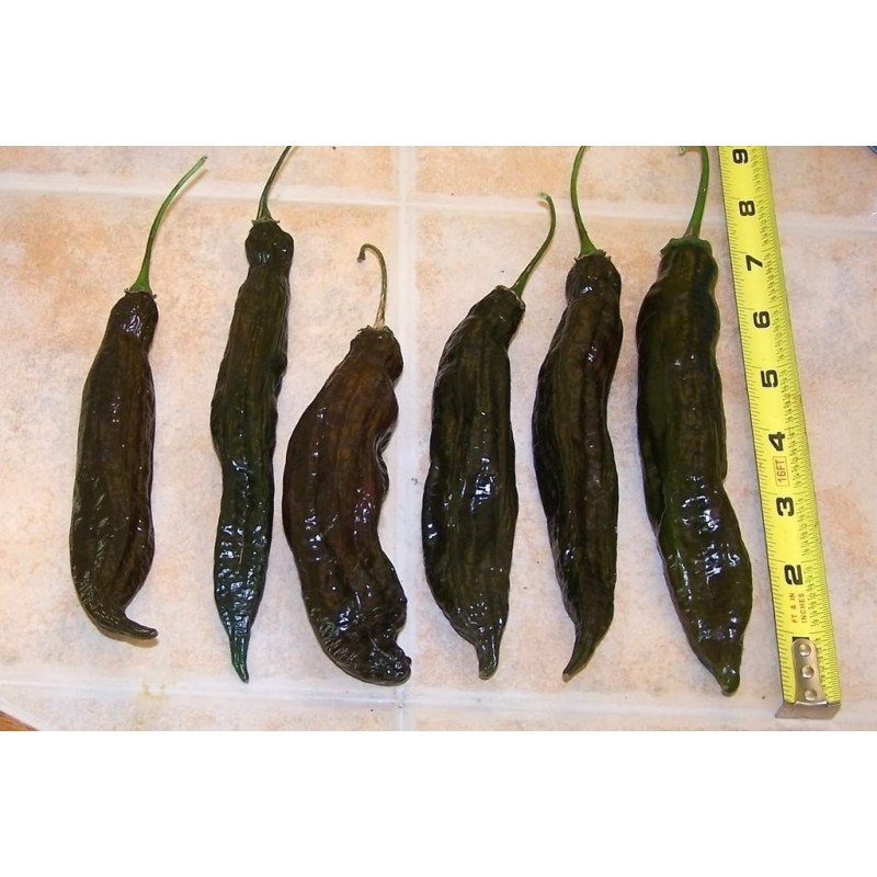 Semillas De Chile Peruano Ají Panca