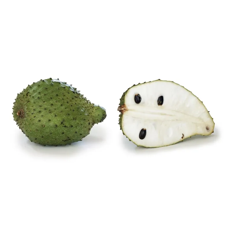 Stachelannone Samen, Sauersack (Annona muricata)