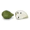 Semillas de Guanábana (Annona muricata)