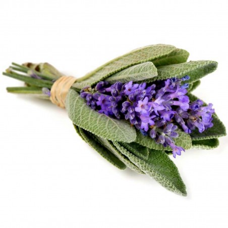 Price: €1.95 - Sementes de Salvia, Salva -