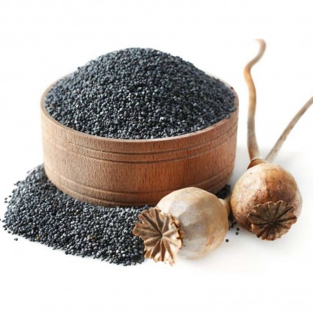 Price: €3.5 - 1000 a 10000 Semi di Papavero da Oppio (Papaver somniferum) - Seeds Gallery