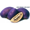 Price: €2.45 - Akebie Seme (Akebia trifoliata) - 