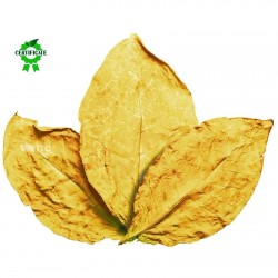Virginia Gold Tobacco Seeds 1.75 - 2