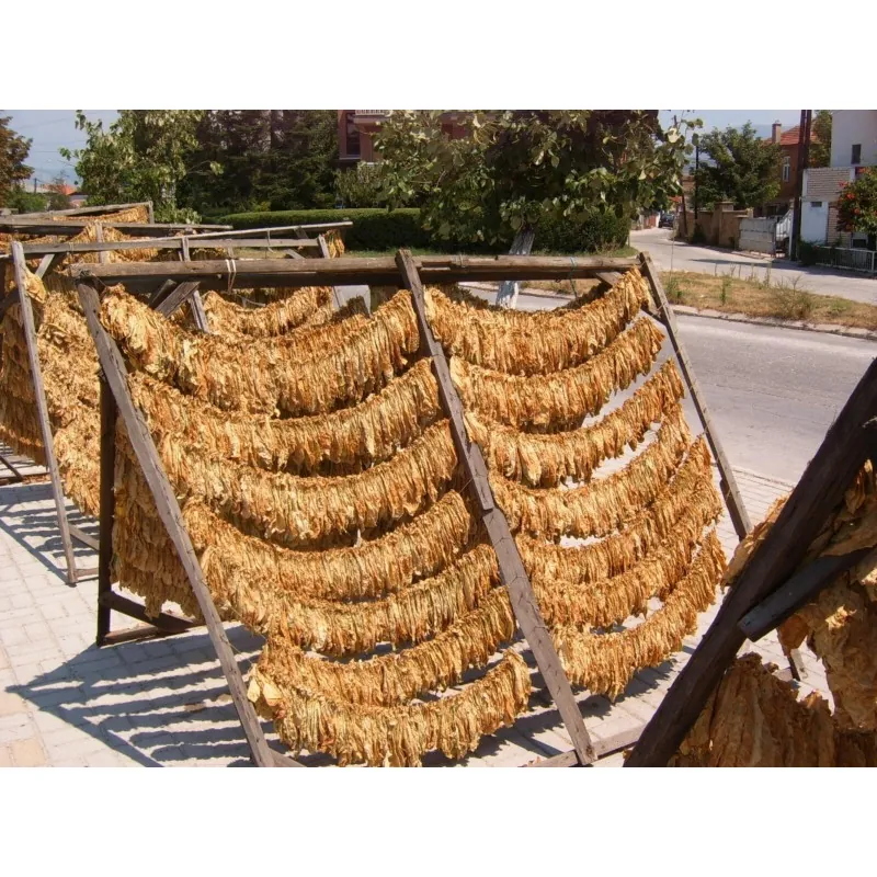 Duvan Seme Virginia Gold Tobacco