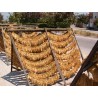 Graines de tabac Virginia Gold 1.75 - 4