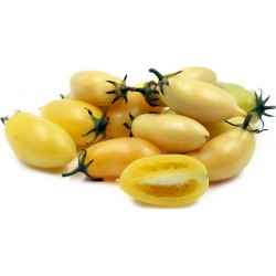 Price: €1.65 - Semillas de tomate Crema de salchicha (Cream Sausage) - Seeds Gallery