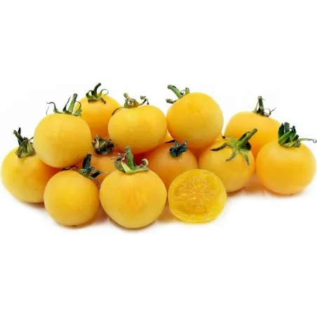 Graines de tomate Pêche